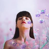 Dogro Fotografia