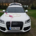 Audi Q5 do ślubu