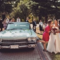 ROYAL WEDDING CARS  Samochód na wesele