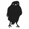 Black Bird Silesia