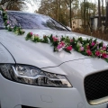 Jaguarem do Ślubu !!! W eleganckim stylu i ze sportowym
