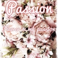 Flower is my passion