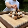 The Wood Game