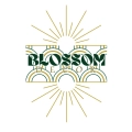 Blossom Decor