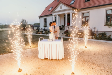 dworek — Kompleks Dwór Gogolewo — Sala weselna · Książ Wielkopolski
