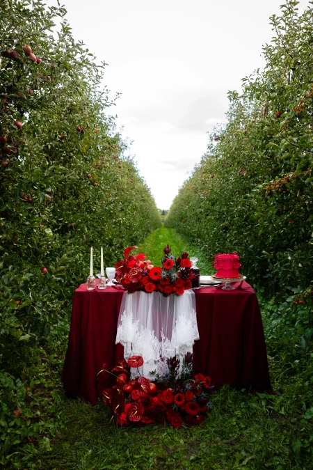 sesja w plenerze — Curly Creations Events — Konsultantka ślubna · Lublin
